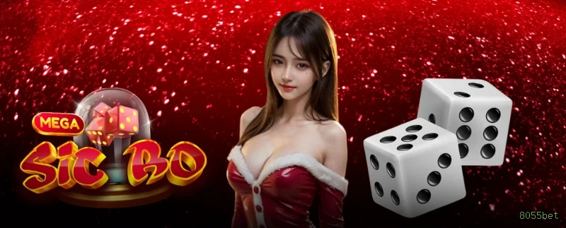 Termos Financeiros 8055bet